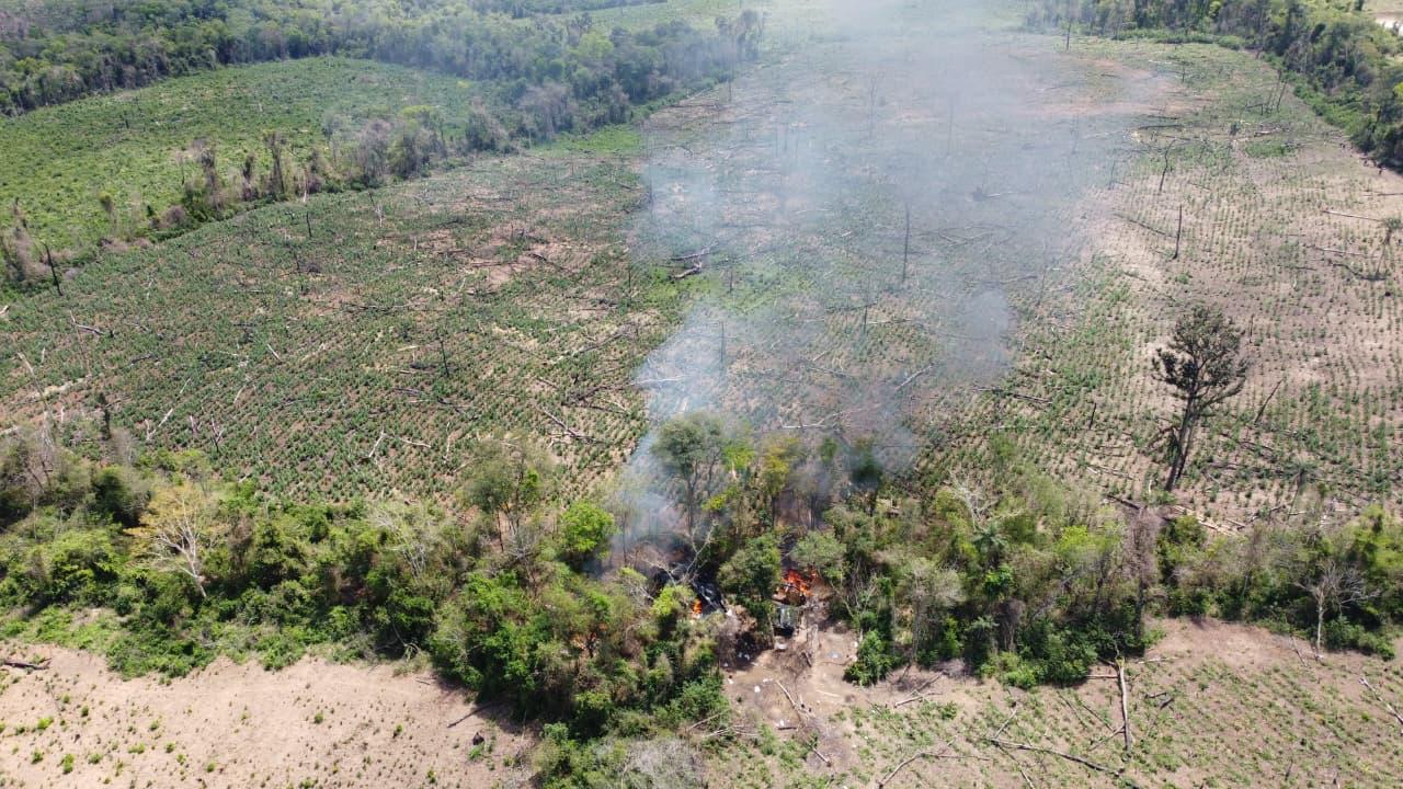 Polícia Federal destrói dezenas de hectares de maconha em operação na Paraíba