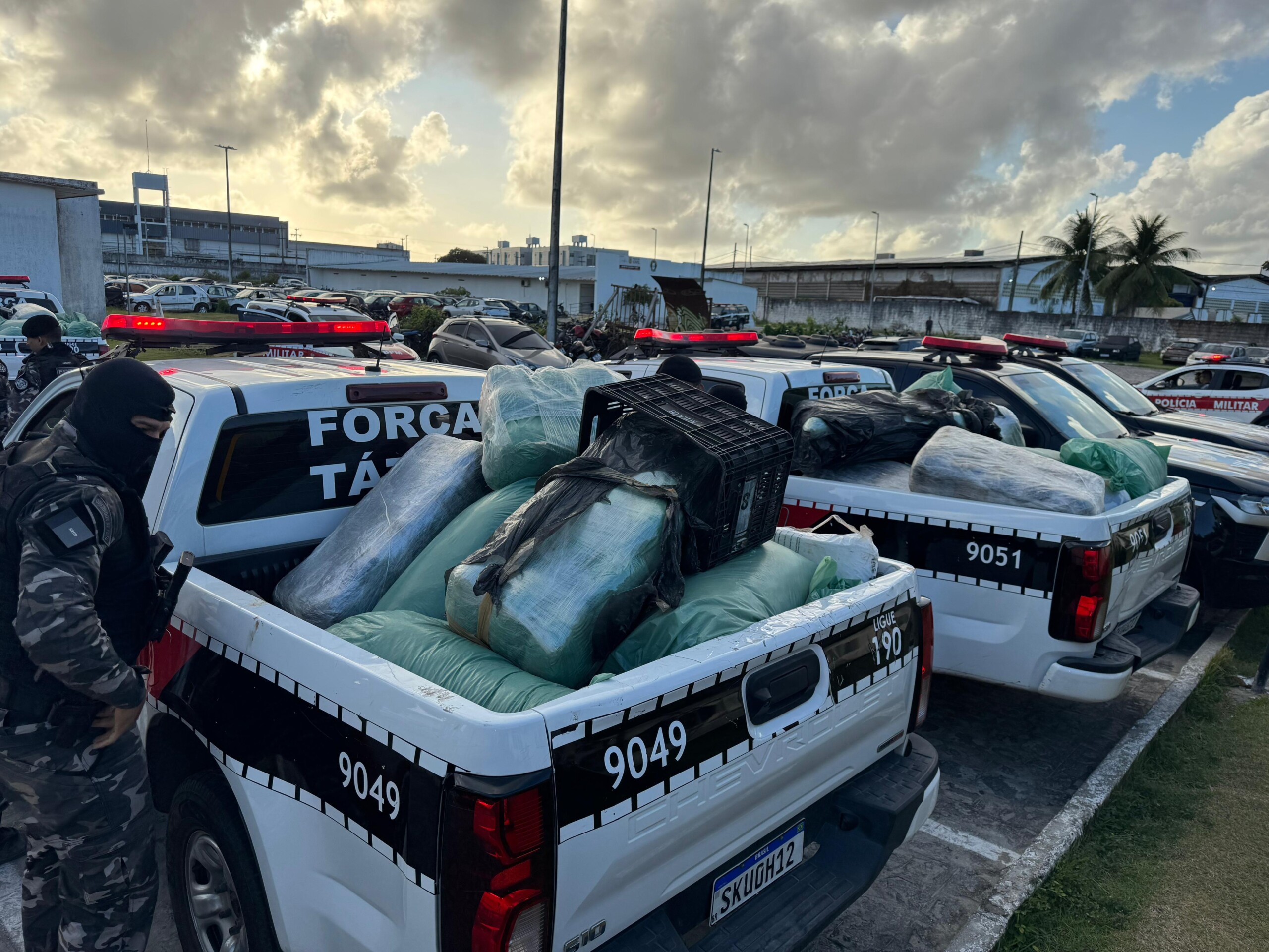 Polícia Militar apreende quase meia tonelada de drogas em João Pessoa e Bayeux