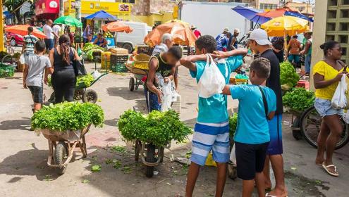 Mais de 10 mil crianças e adolescentes foram vítimas de trabalho infantil na Paraíba, revela MPT